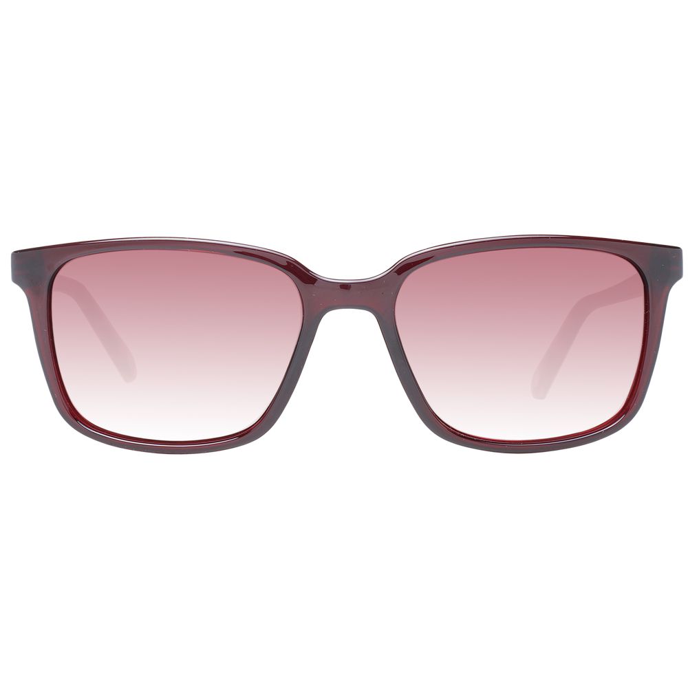 Ted Baker Burgundy Men Sunglasses