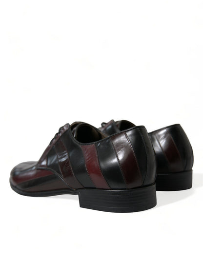 Dolce & Gabbana Black Bordeaux Leather Derby Formal Dress Shoes