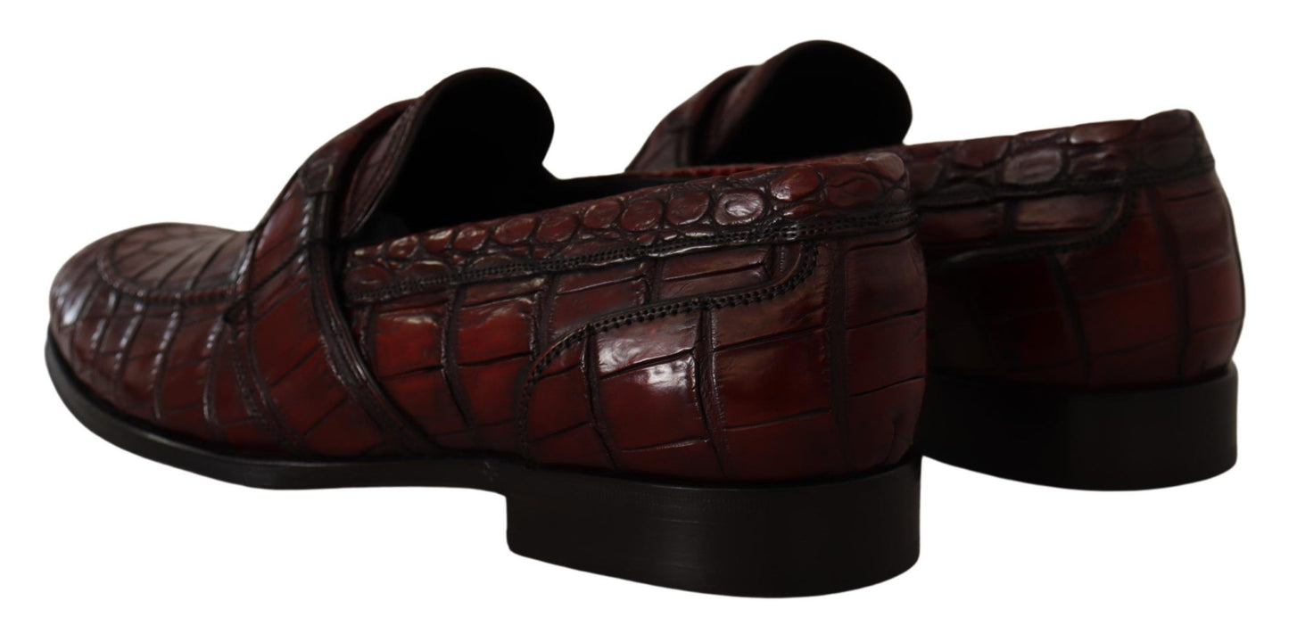 Dolce & Gabbana Exotic Croc Leather Bordeaux Loafers