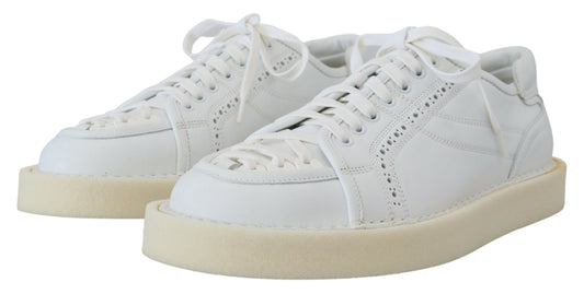 Dolce & Gabbana Elegant White Low Top Oxford Sneakers