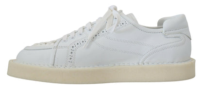 Dolce & Gabbana Elegant White Low Top Oxford Sneakers