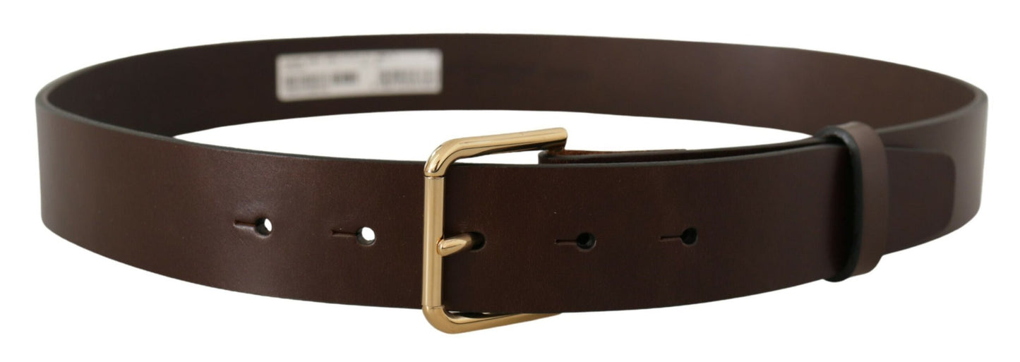 Dolce & Gabbana Elegant Dark Brown Leather Belt