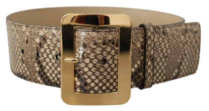 Dolce & Gabbana Brown Exotic Wide Waist Leather Gold Metal Buckle Belt