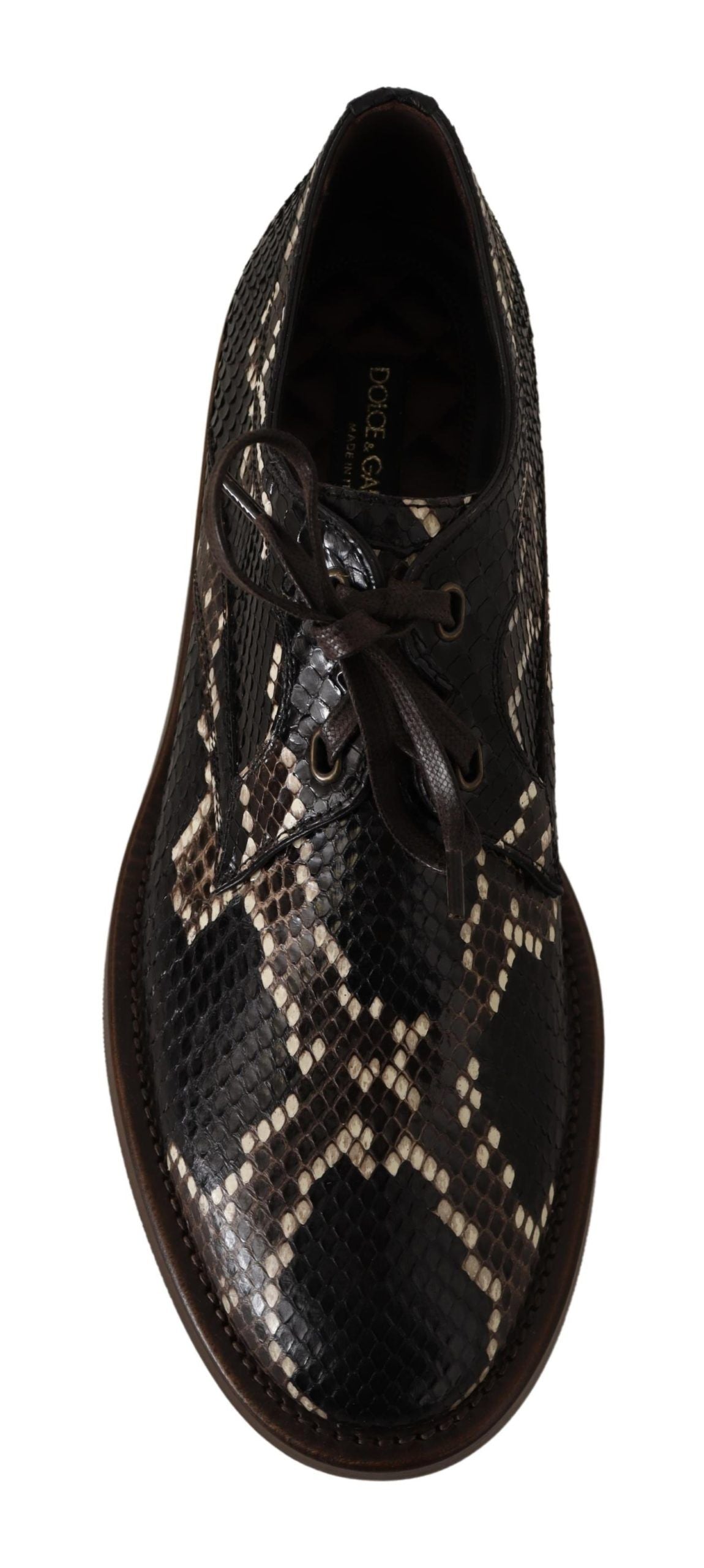 Dolce & Gabbana Elegant Formal Python Derby Shoes