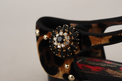 Dolce & Gabbana Brown Ballerina Embellished Leopard Print Shoes