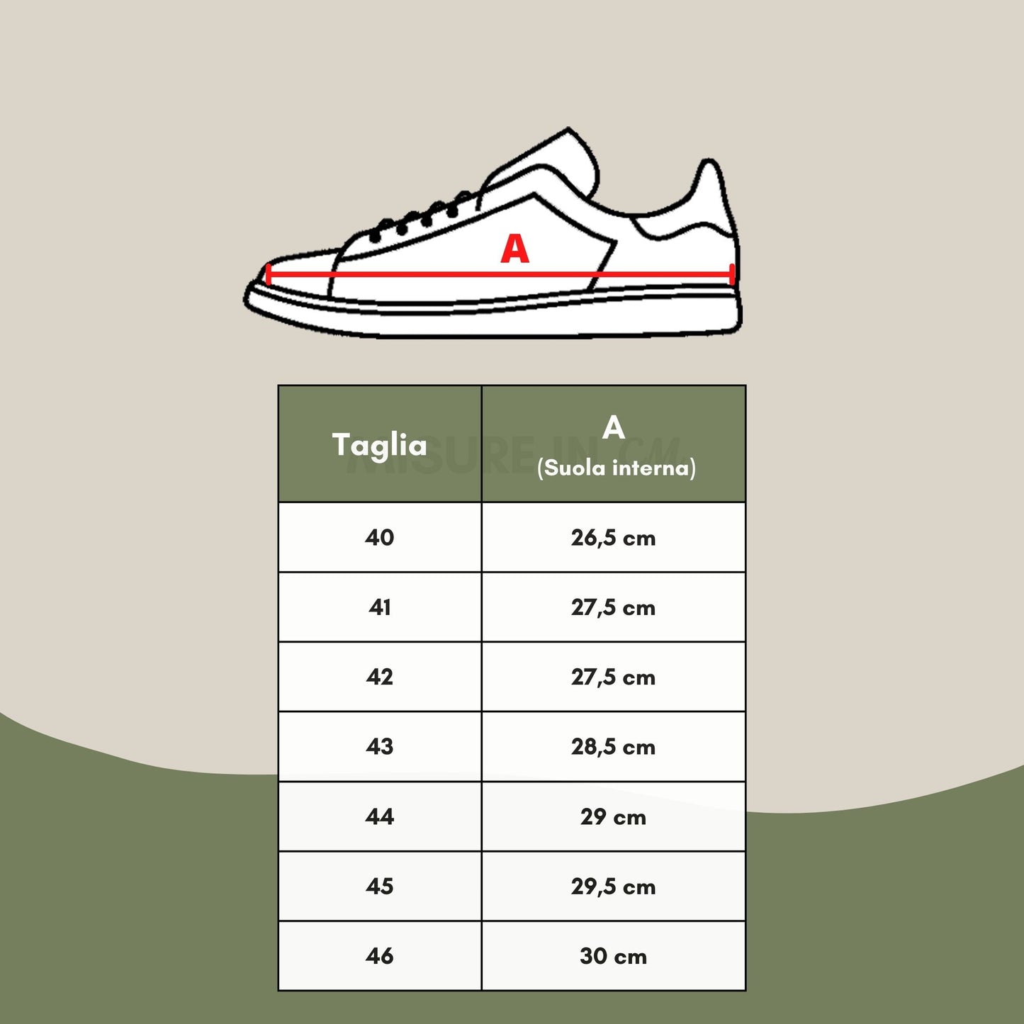 Roberto Cavalli Elegant Black Leather Sneakers with Silver Logo