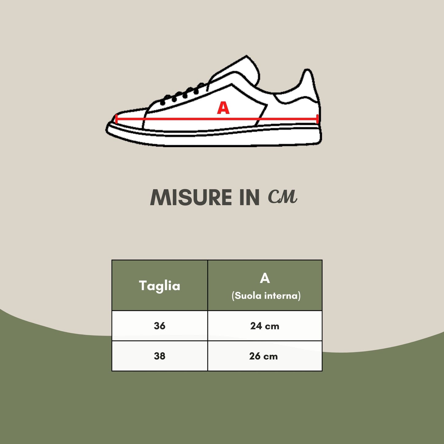 Roberto Cavalli White Suede High-Top Sneakers