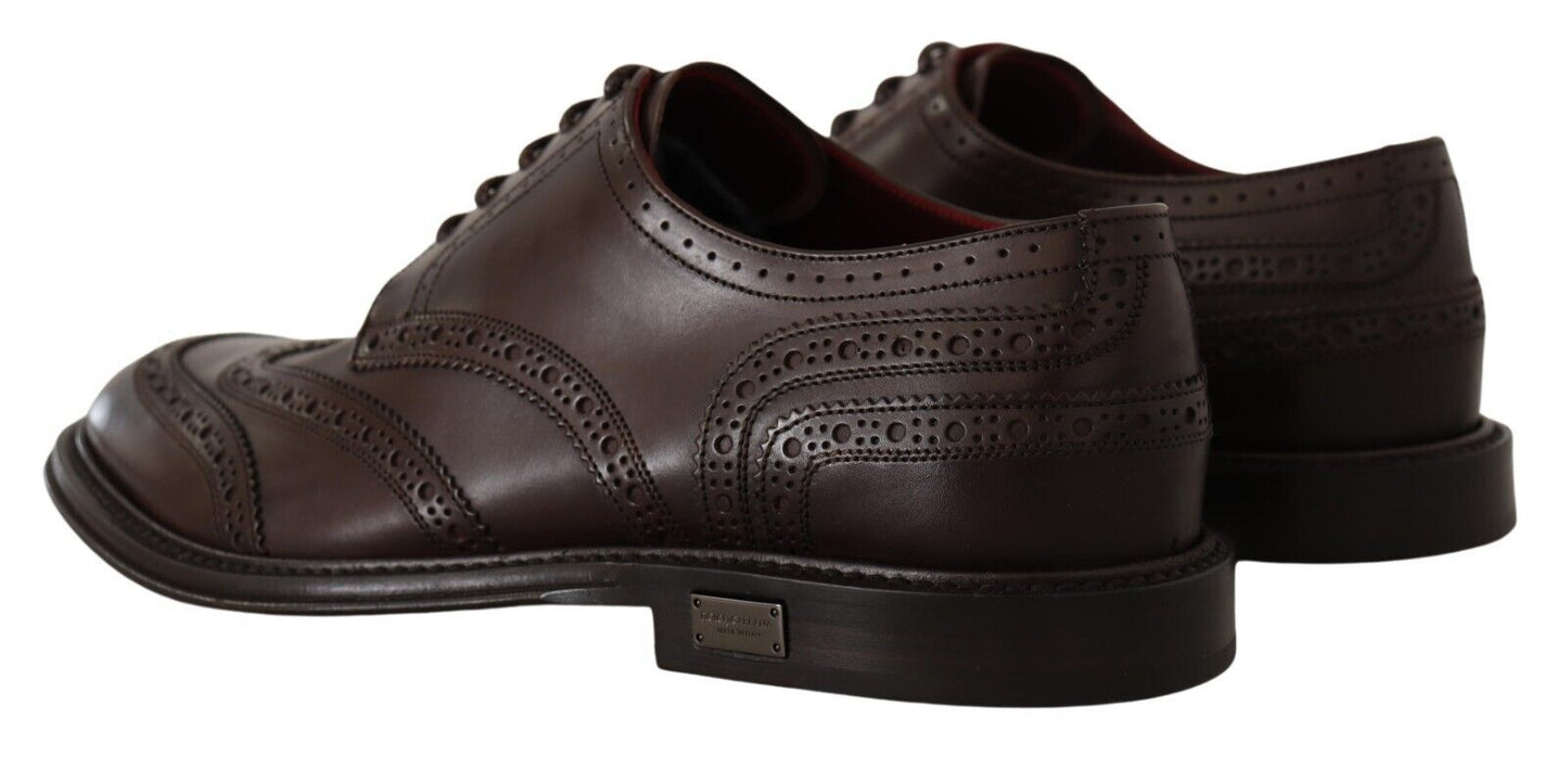 Dolce & Gabbana Brown Leather Oxford Wingtip Formal Derby